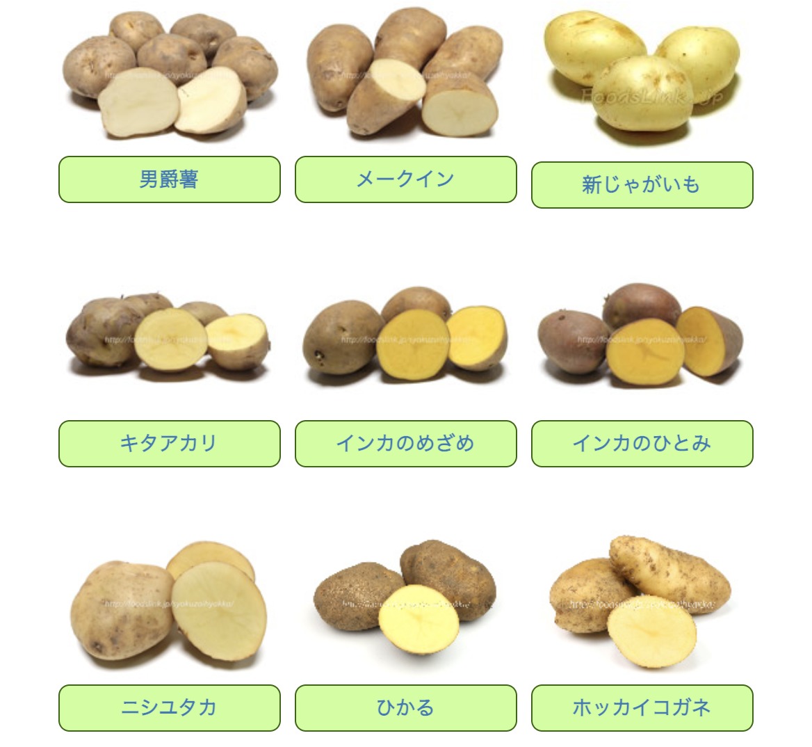 芋(いも)に関するおすすめ記事 7選 - クレイジースタディ(クレスタ)