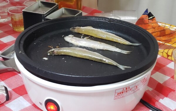 生魚